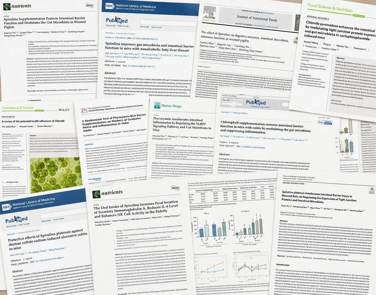 Peer-reviewed papers on spirulina, chlorella and phycocyanin and their effects on gut barrier function and microbiota