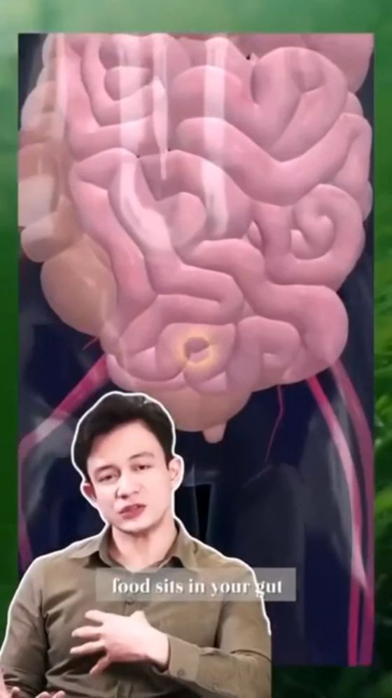 SPIRO+ Science — Why digestive enzymes matter for gut health